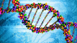 DNA-image.jpg